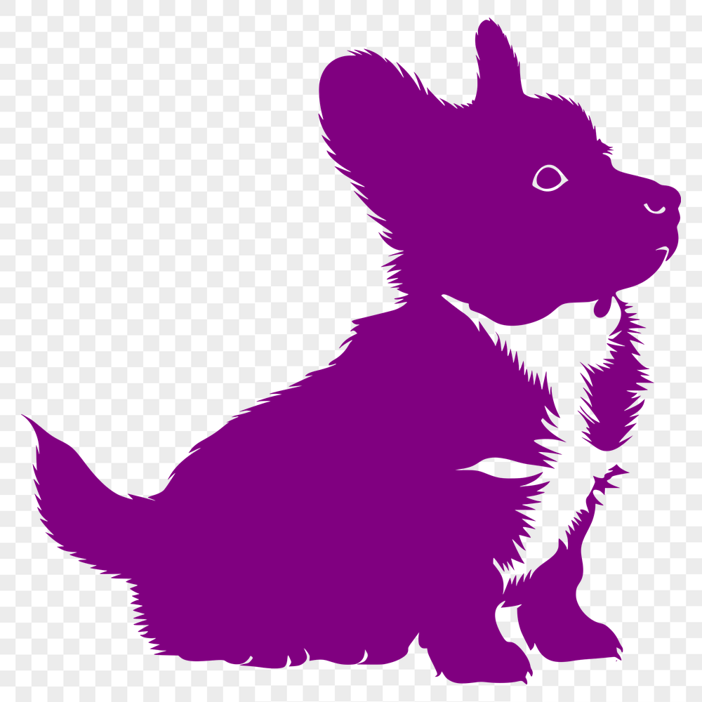 Stunning Sitting Puppy Digital Artwork