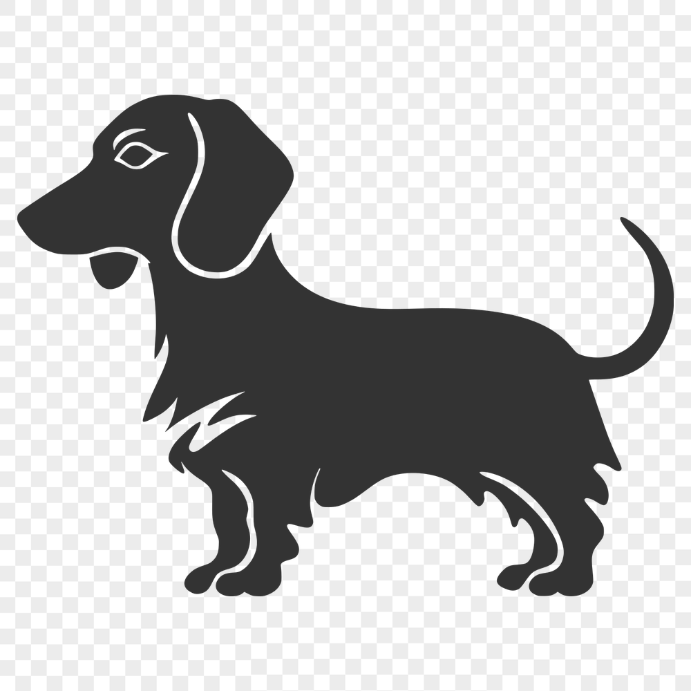 Beautiful Dachshund Vector Illustration