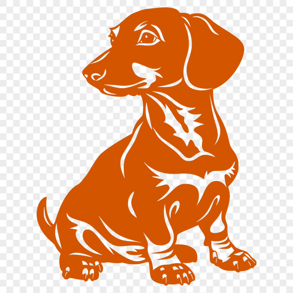 Beautiful Sitting Dachshund Vector Art