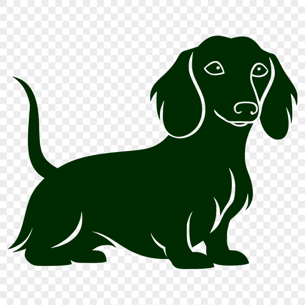 Unique Standing Dachshund Vector Illustration