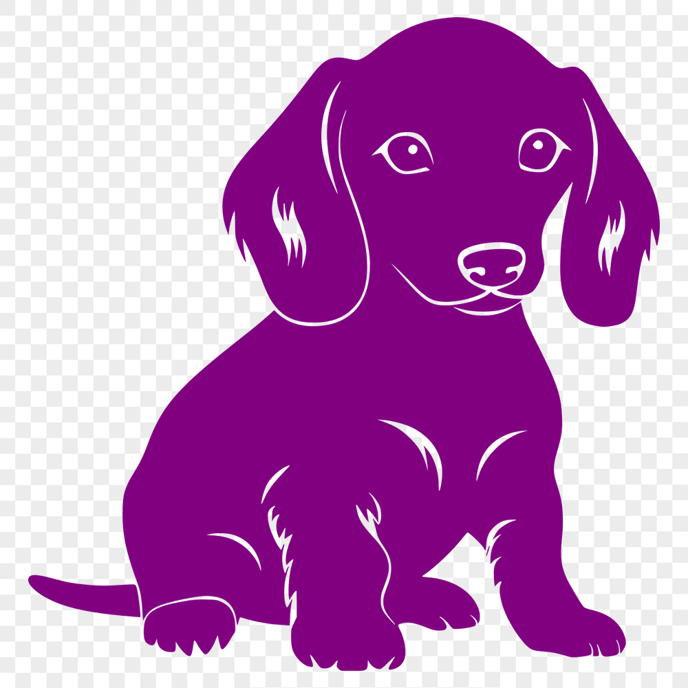 Free Stunning Dachshund Vector Craft File