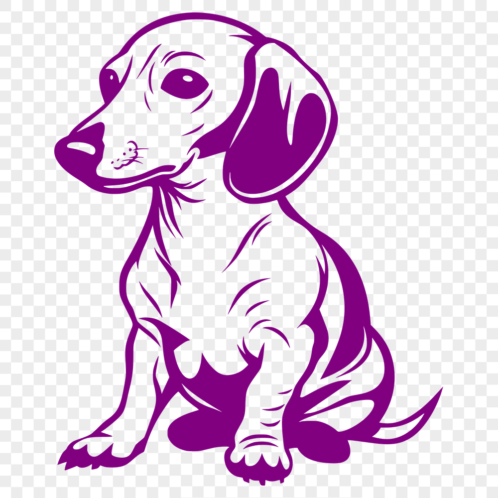 Beautiful Dachshund - For Vinyl Project