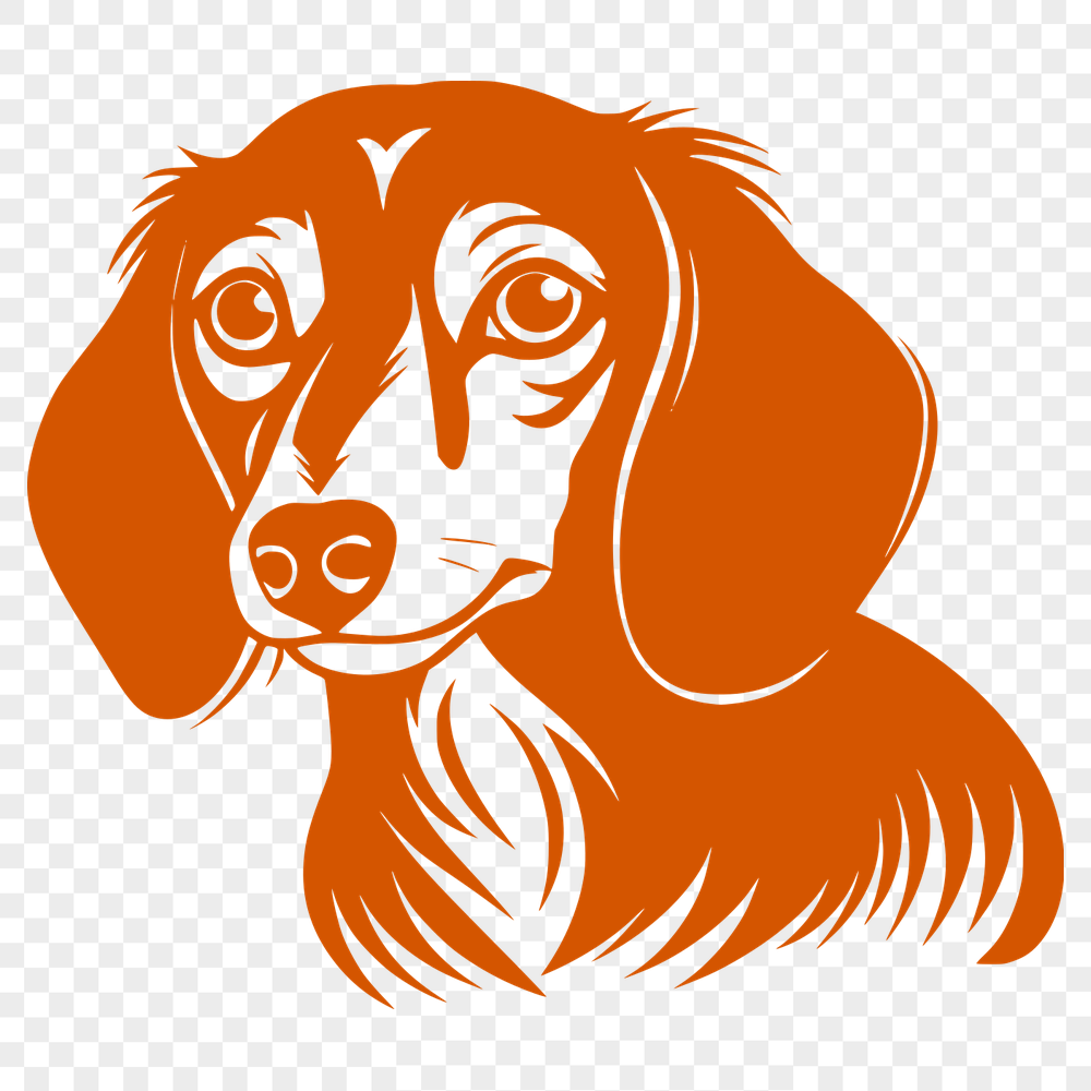 Unique Dachshund PDF