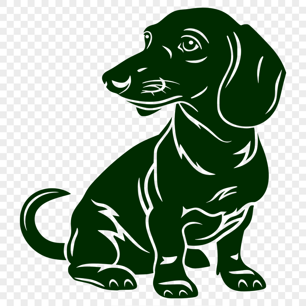 Unique Sitting Dachshund Drawing