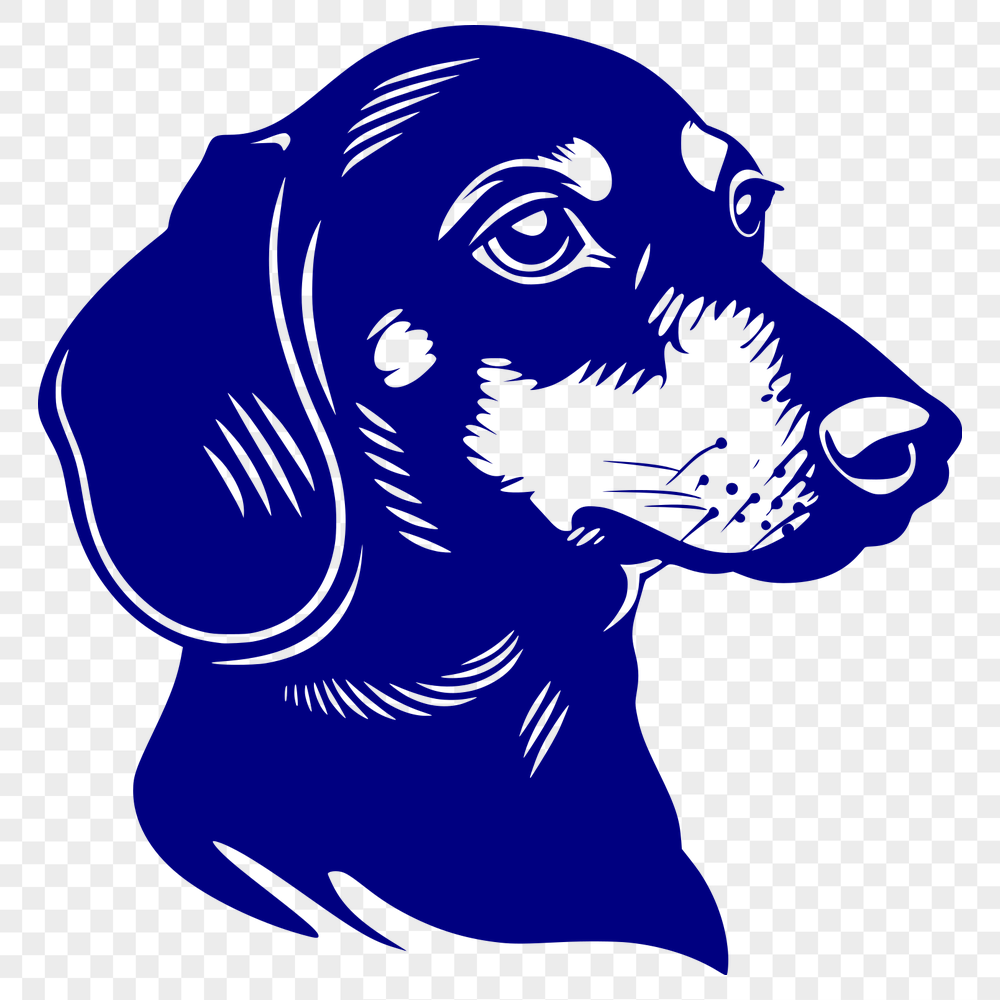 Free Dachshund Vector Illustration