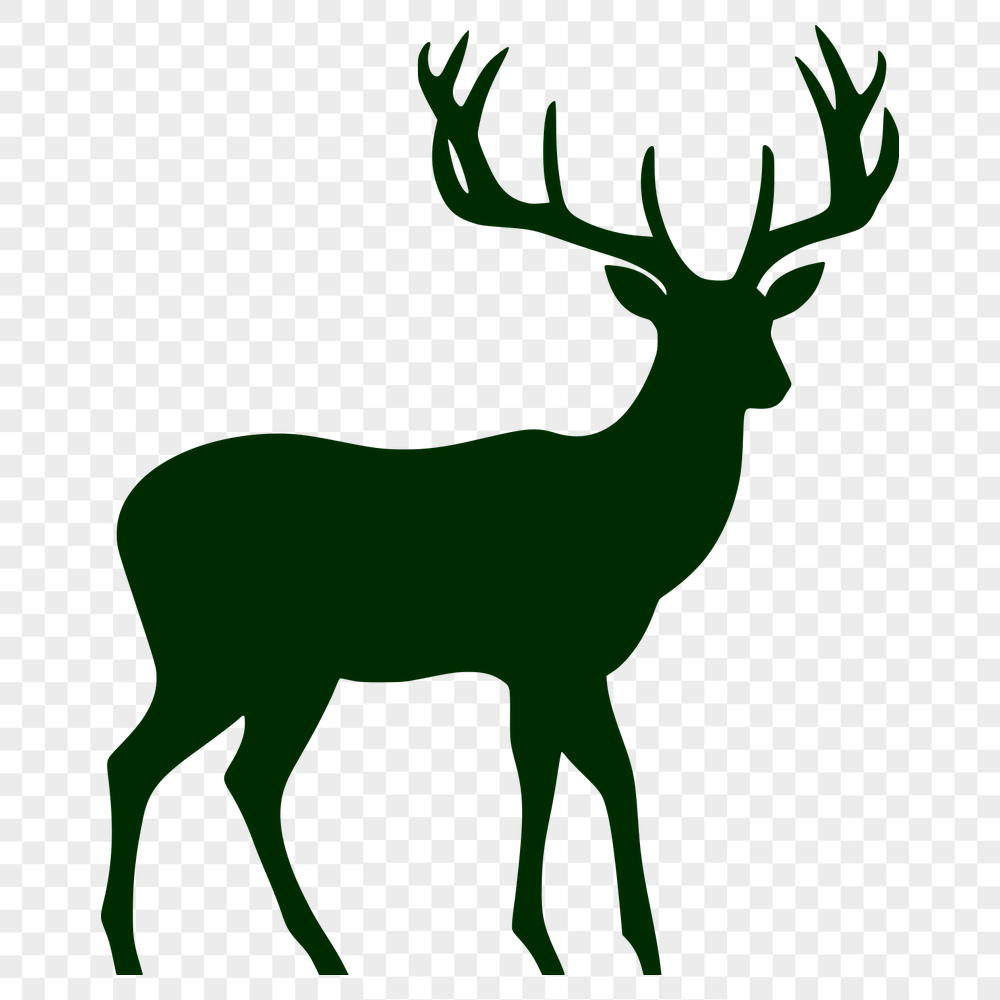 Beautiful Deer PDF