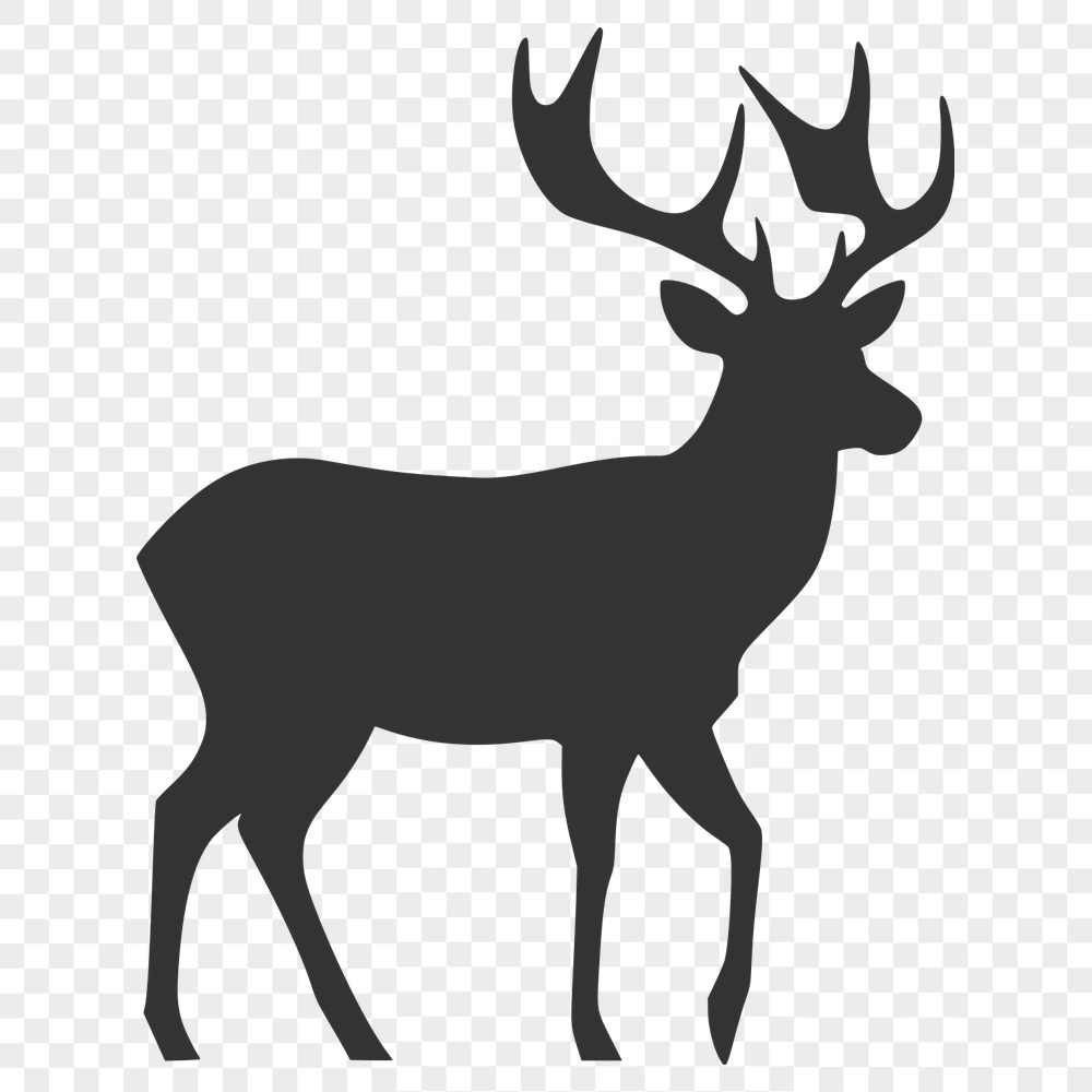 Free Creative Deer Artwork