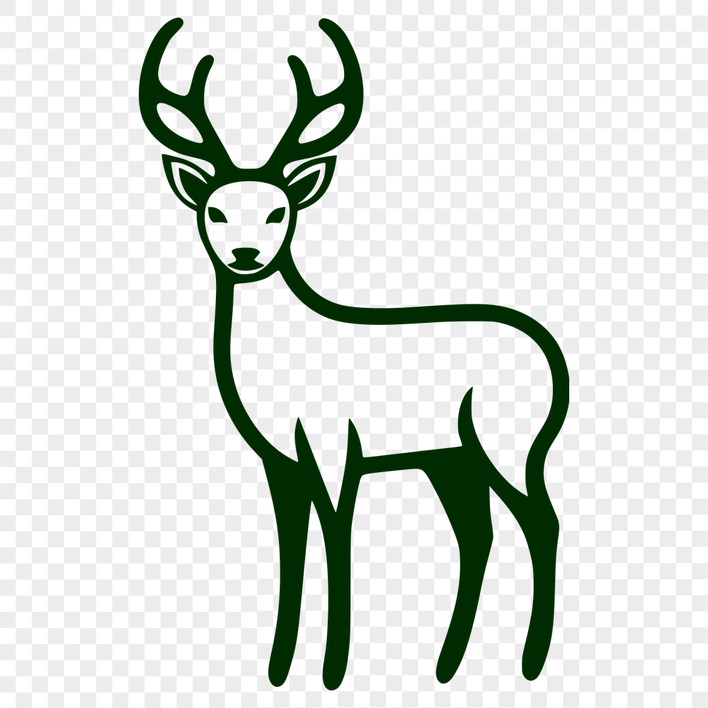 Unique Deer PNG