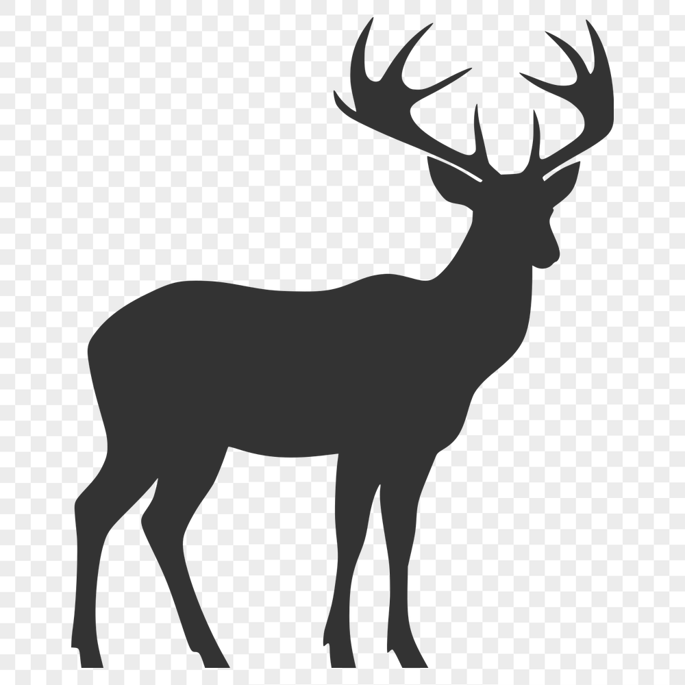 Unique Deer Illustration