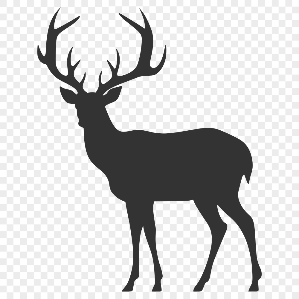 Free Deer PDF