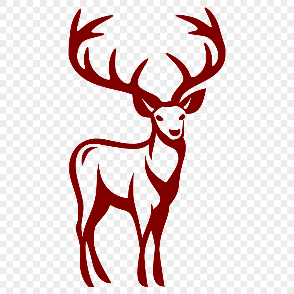 Unique Deer Image