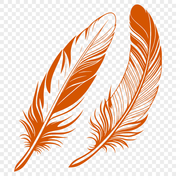Delicate White Feather Design A single white bird's feather with detailed texture and structure, created as a scalable vector graphic (SVG) design.