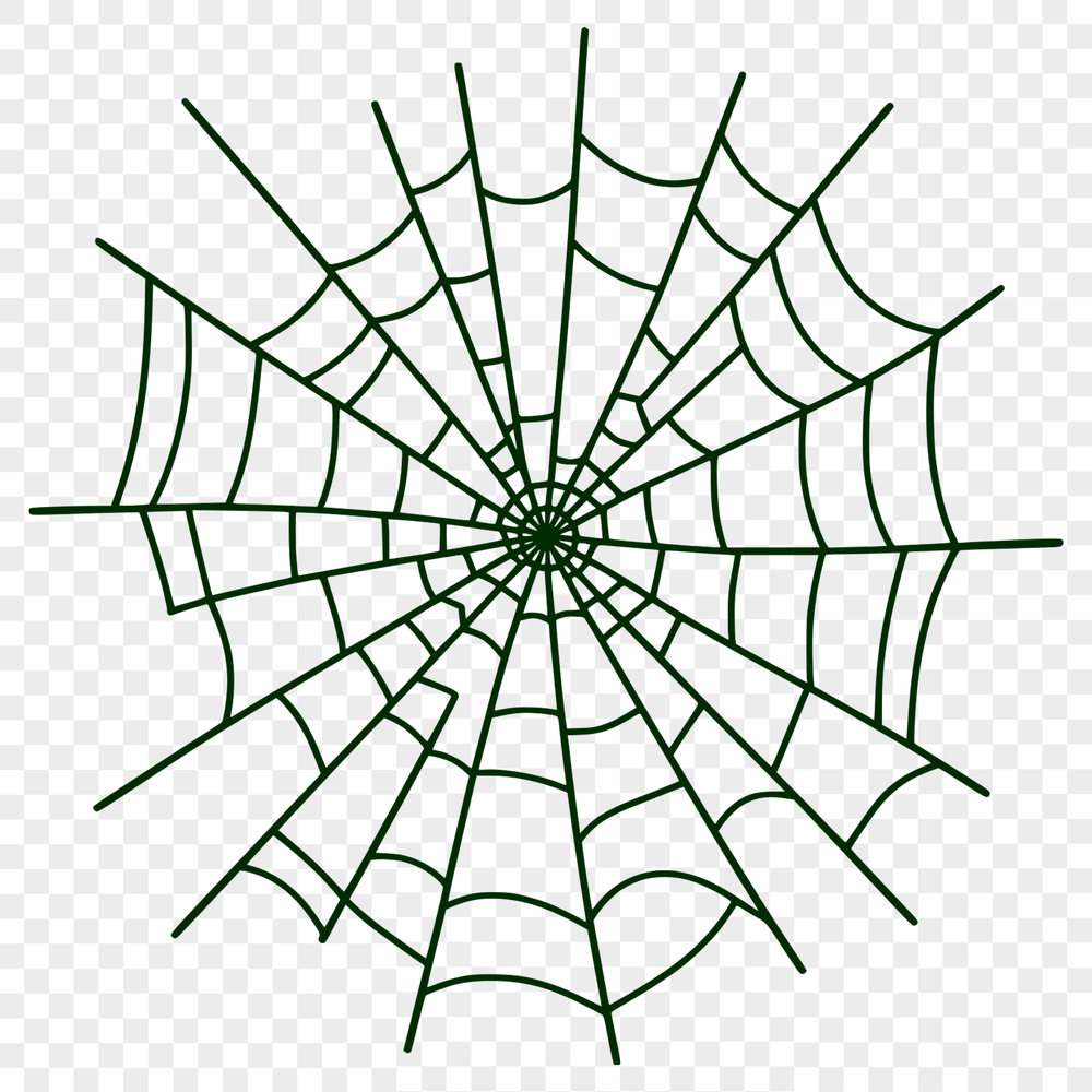 Beautiful Intricate Web Design A stylized illustration of a spider web made from interconnected lines in various directions.
