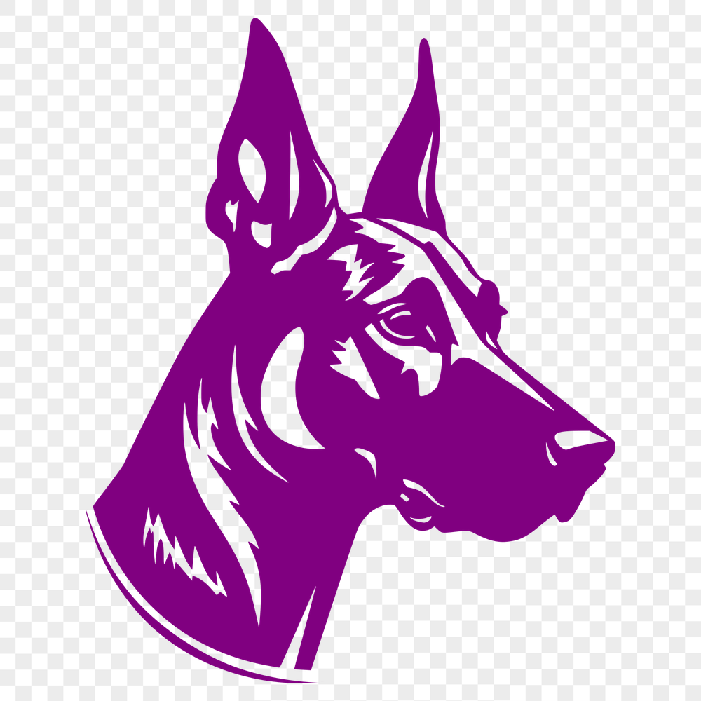 Doberman Pinscher In PNG Format