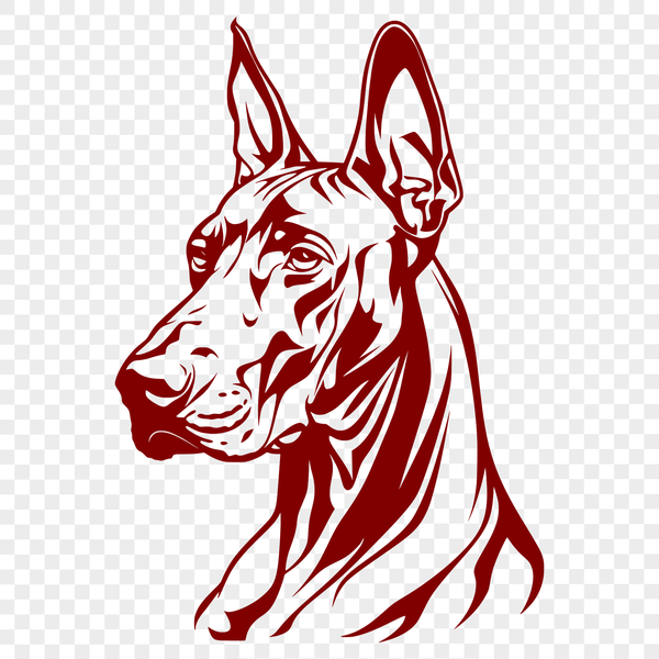 Detailed Doberman Pinscher Head Illustration for Vector Design Projects A detailed illustration of a Doberman Pinscher's head, suitable for use in vector art designs.