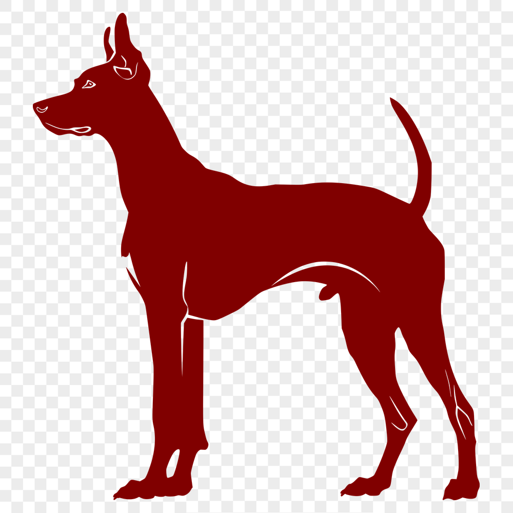 Standing Doberman Pinscher Design