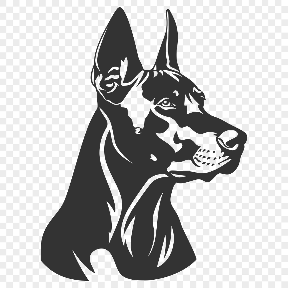 Free Free Doberman Pinscher Digital Drawing