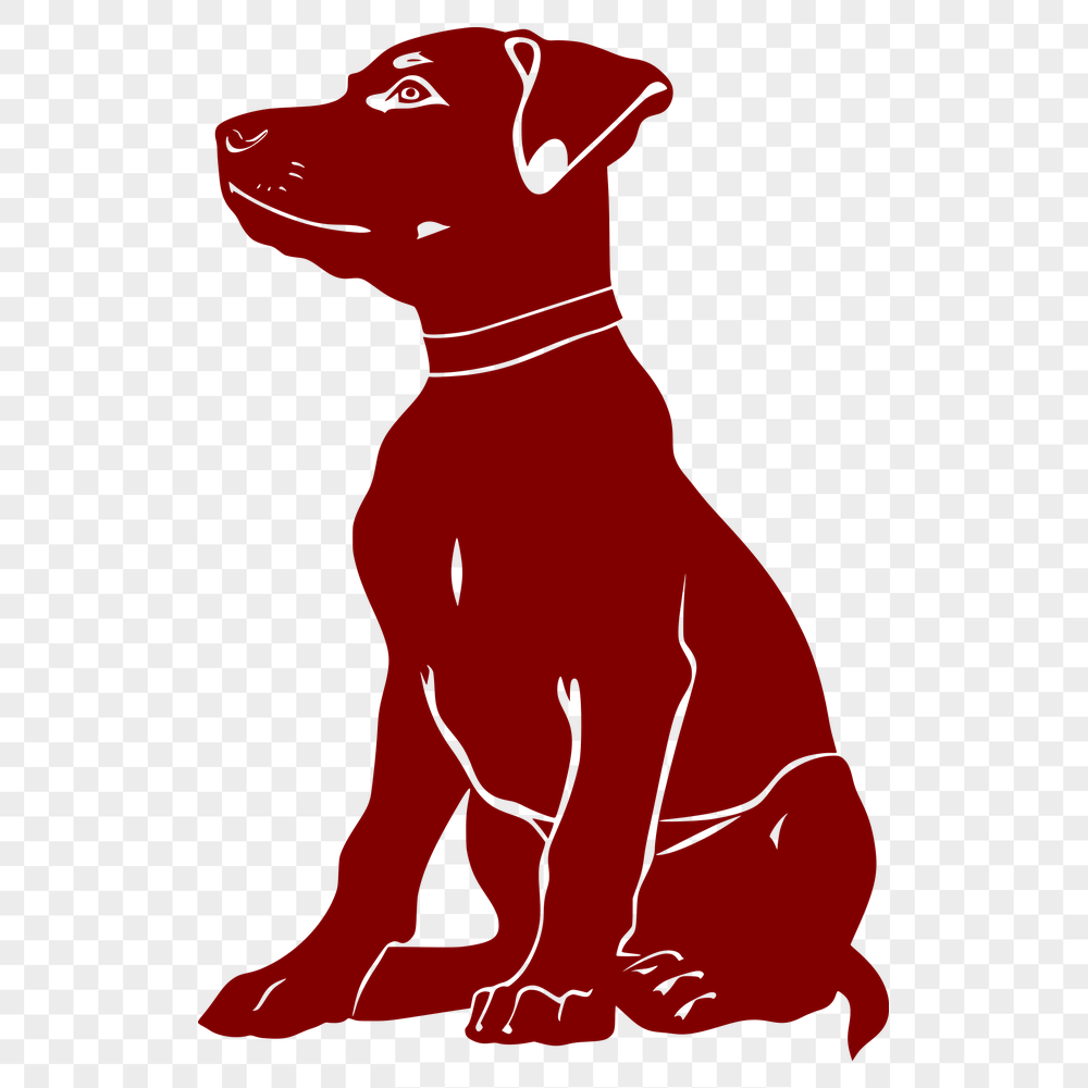 Beautiful Sitting Doberman Pinscher Template