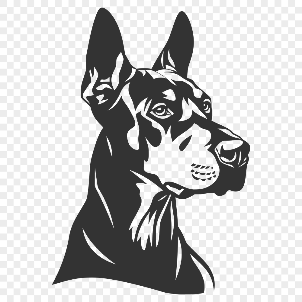 Artistic Doberman Pinscher - For Vinyl Project