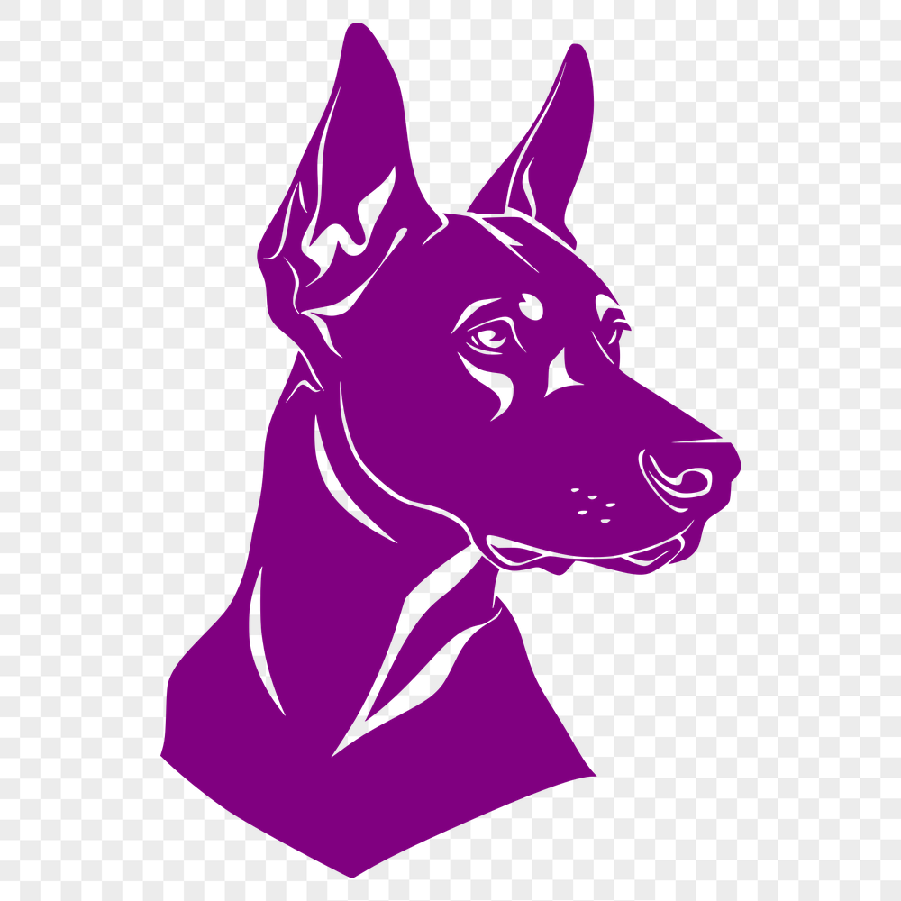 Unique Doberman Pinscher Image