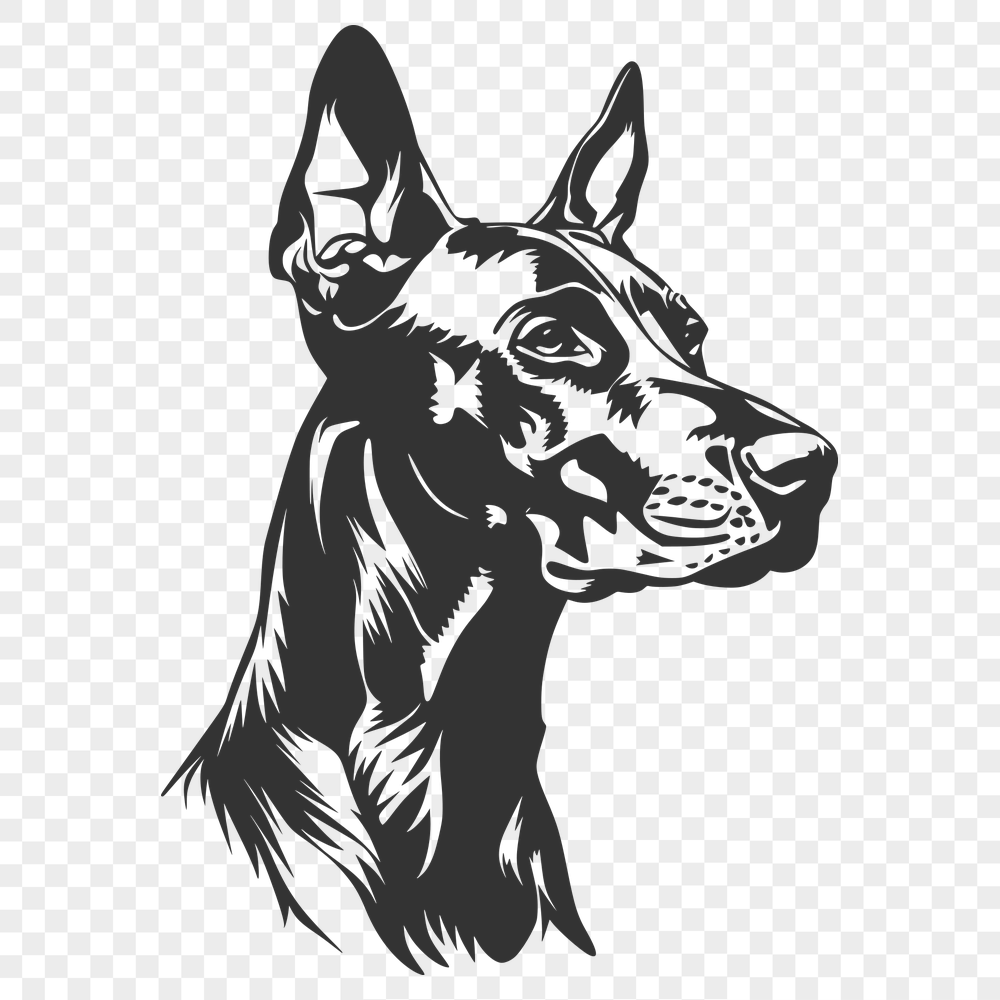 Artistic Doberman Pinscher Vector Illustration