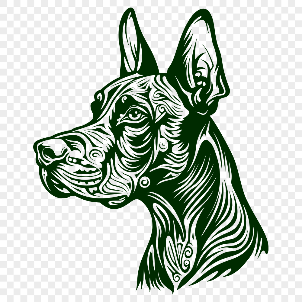 Stunning Doberman Pinscher - Laser PDF