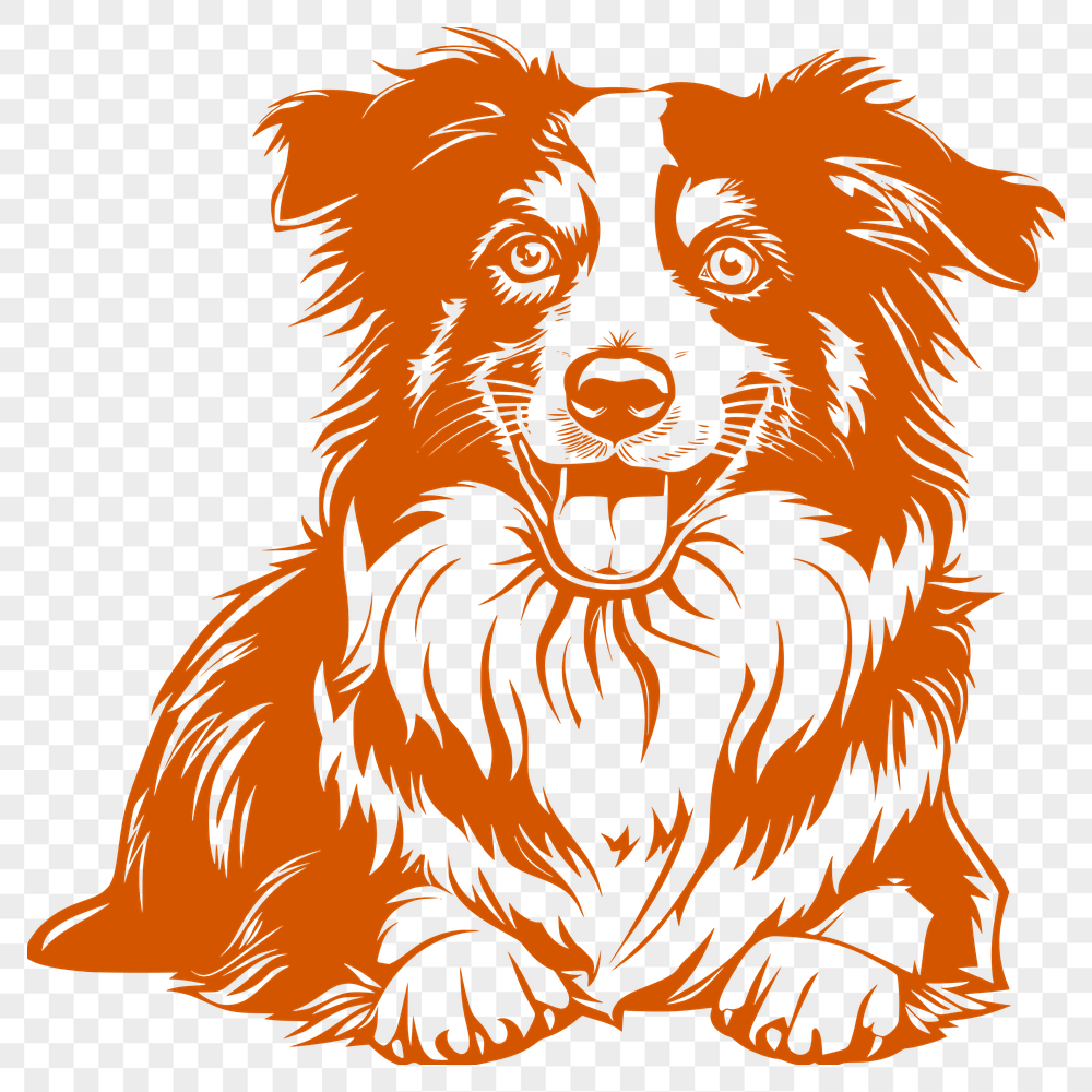 Laying Australian Shepherd Image