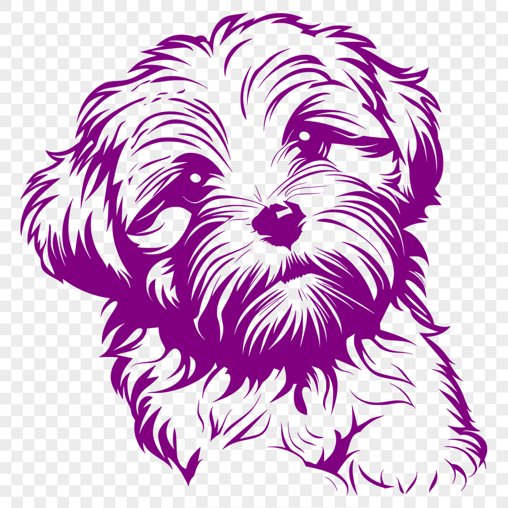 Free Stunning Havanese Clip Art