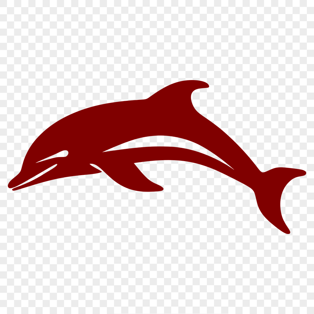 Stunning Dolphin SVG