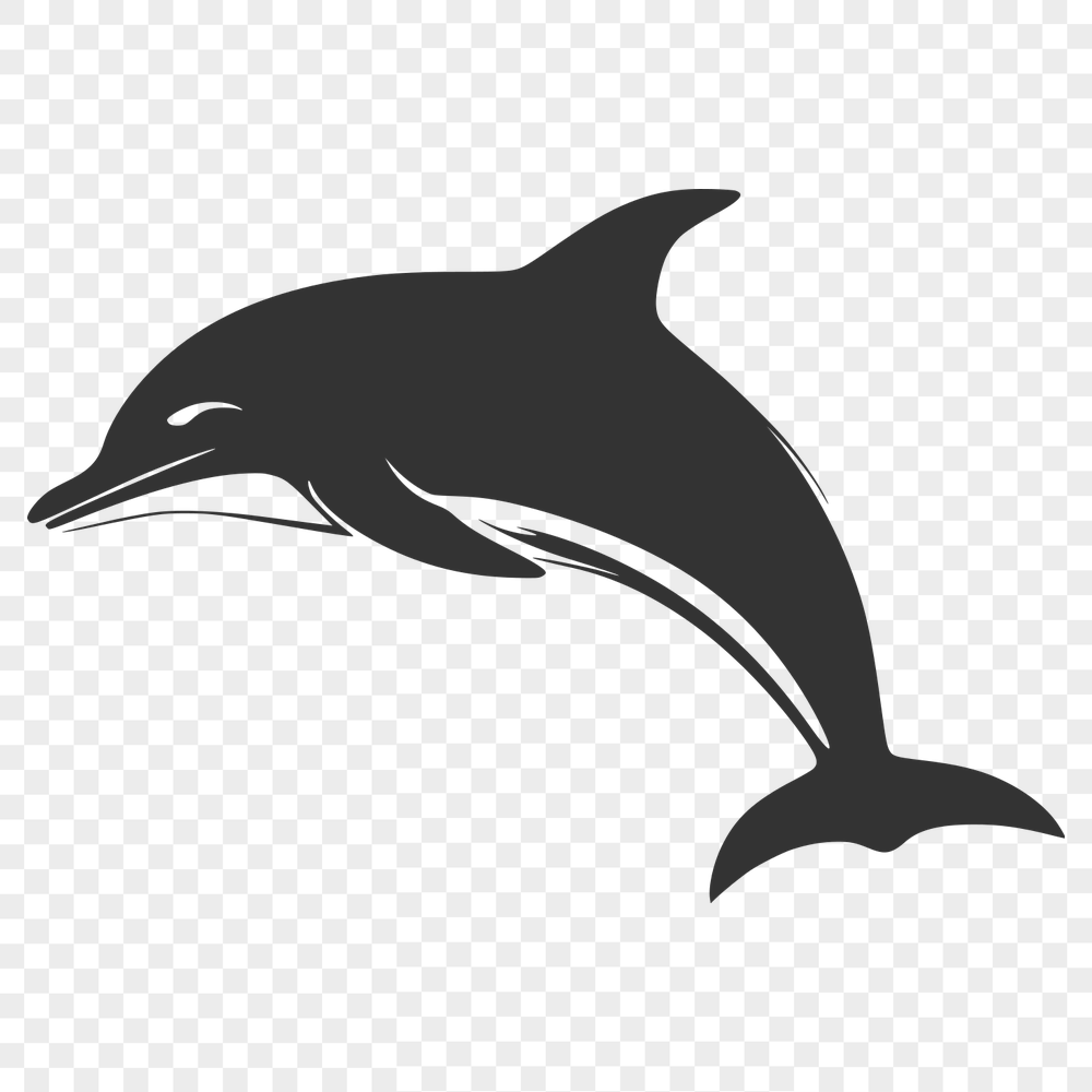 Stunning Dolphin Vector Illustration