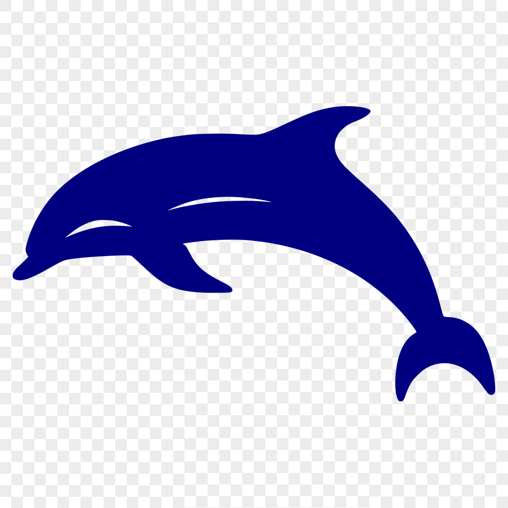 Artistic Dolphin Vector Drawing