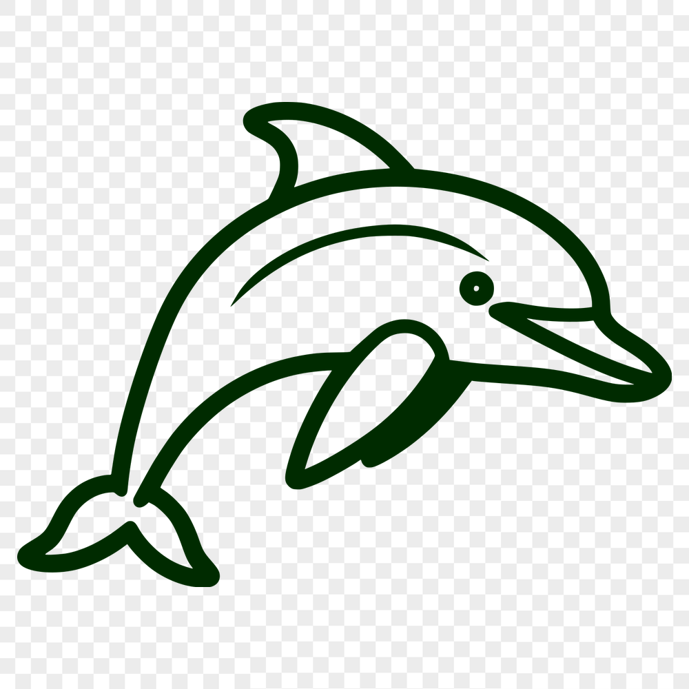 Unique Dolphin Design