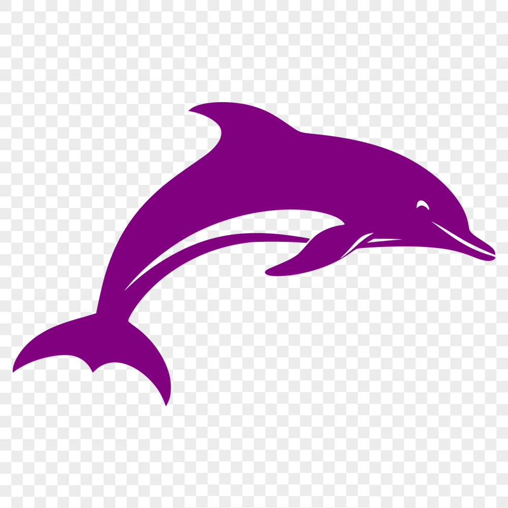 Beautiful Dolphin Vector Art