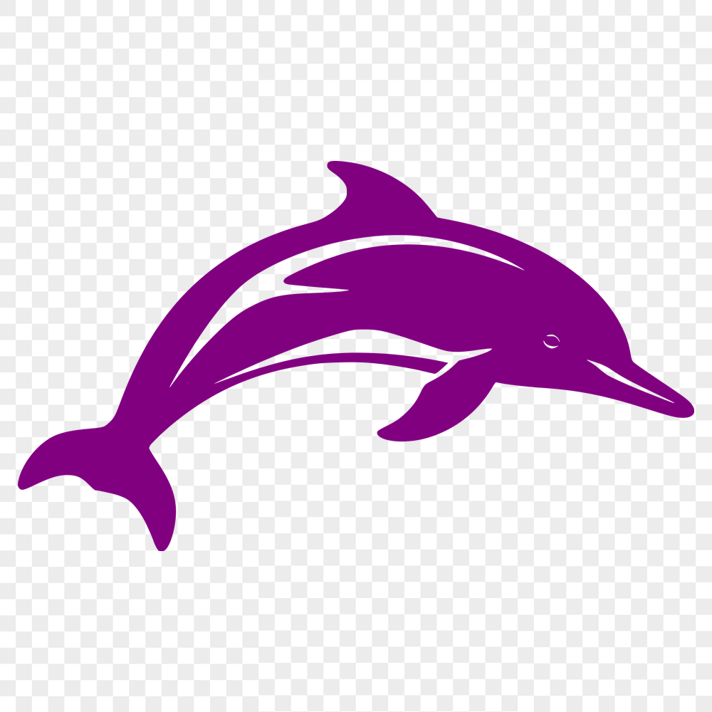 Free Beautiful Dolphin Template