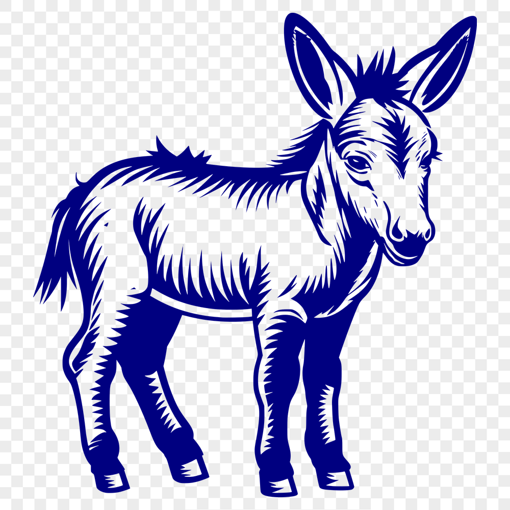 Standing Donkey PNG