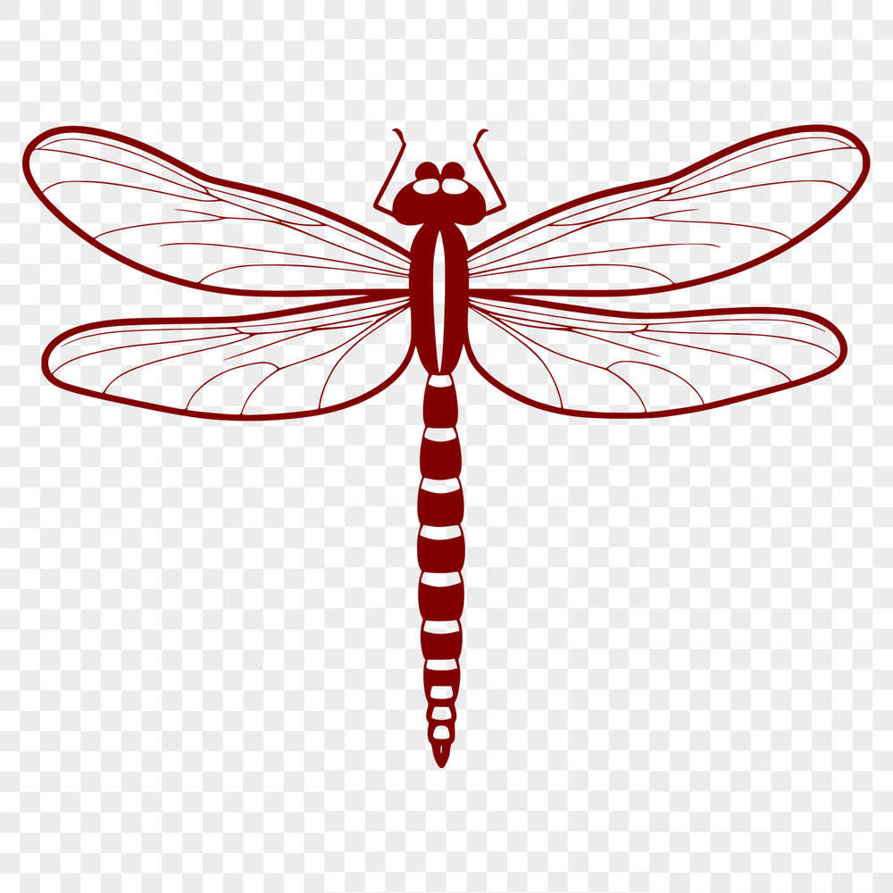 Beautiful Dragonfly Illustration in Vector Format A detailed illustration of a dragonfly in vector format, suitable for cutting machine designs or clip art projects.