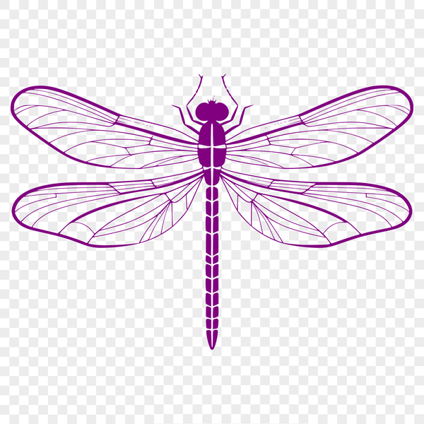 Beautiful Insect Silhouette A colorful dragonfly in mid-flight, suitable for digital design projects.