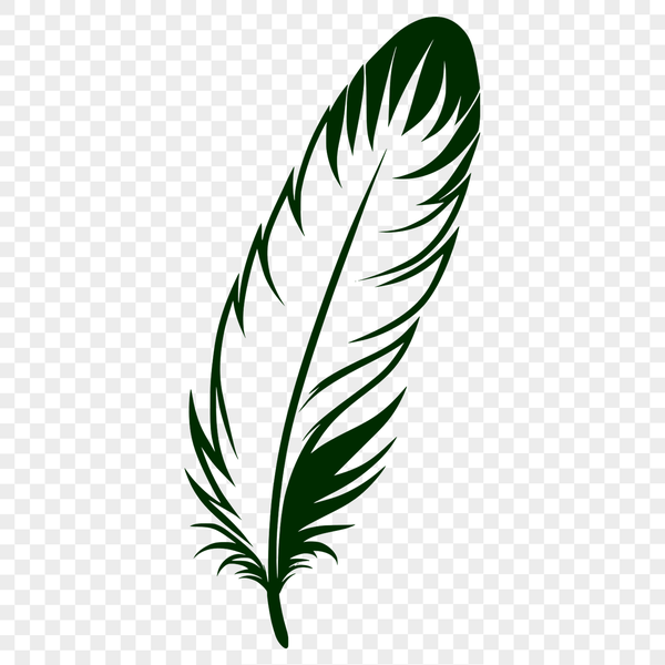 Beautiful Vector Feather Clip Art A single feather with detailed edges and textures, suitable for vector design.