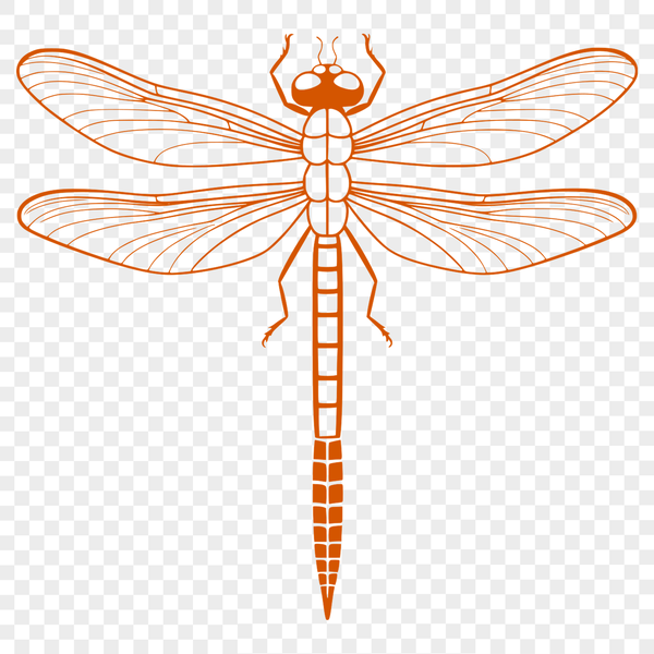 Vector Dragonfly Designs for Cutting Machines A detailed illustration of a dragonfly in various poses, suitable for vector design and cutting machine applications.