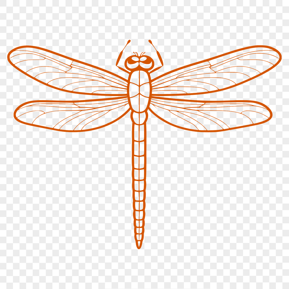 Free Dragonfly SVG Clip Art A colorful vector illustration of a dragonfly with transparent background.
