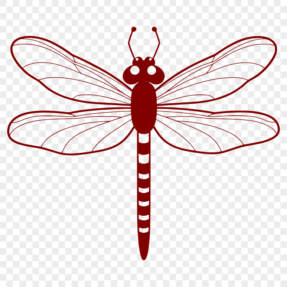 Vibrant Dragonfly Design in Scalable Vector Graphics An ornamental dragonfly design created as scalable SVG graphics.