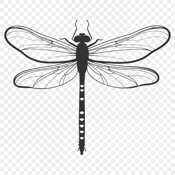 Intricate Dragonfly Clipart Download A colorful illustration of a dragonfly with intricate details, suitable for cutting machines and vector graphics.