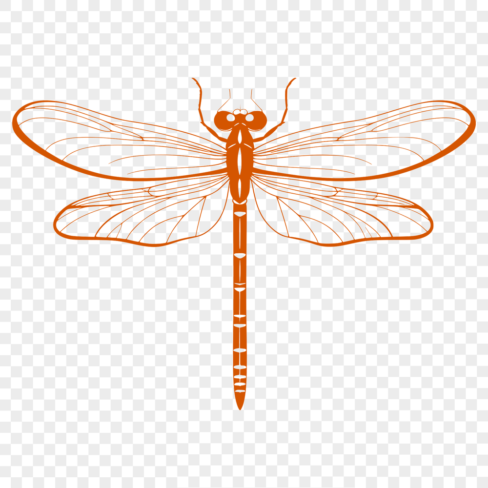 Detailed Dragonfly Illustration Vector A detailed illustration of a dragonfly with intricate details, suitable for cutting machines like Cricut or laser cutters.