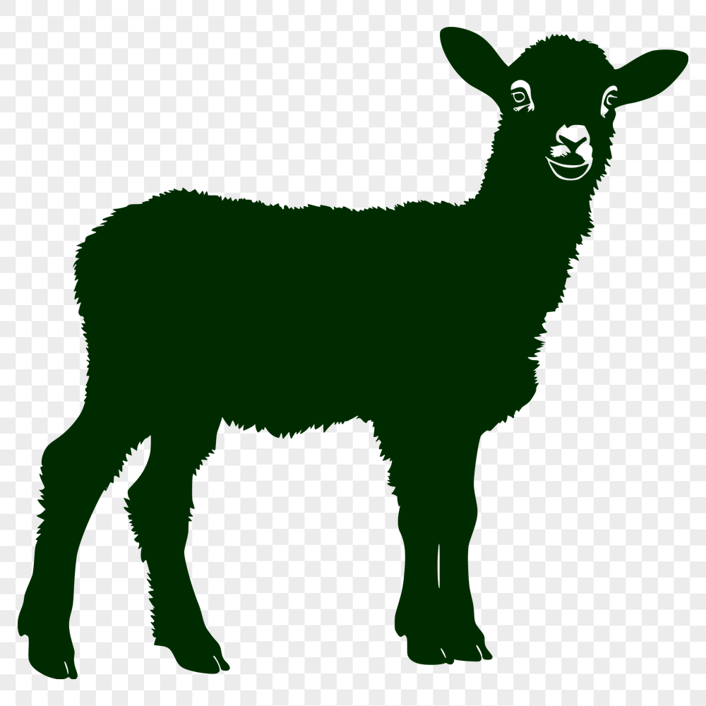 Artistic Lamb PNG