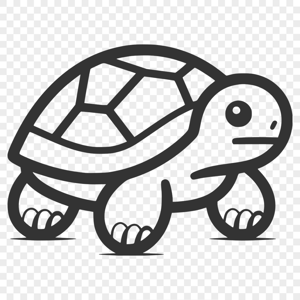 Free Unique Tortoise Design