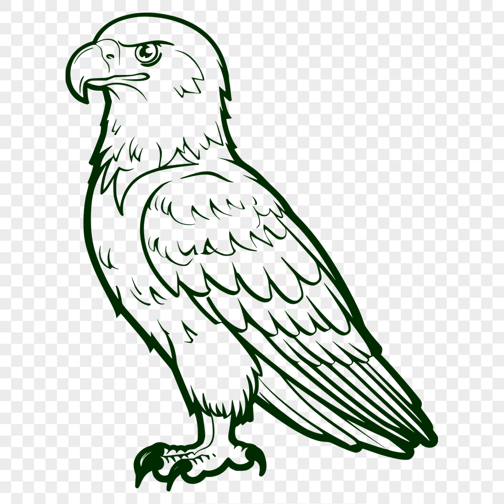 Free Unique Eagle Digital Art