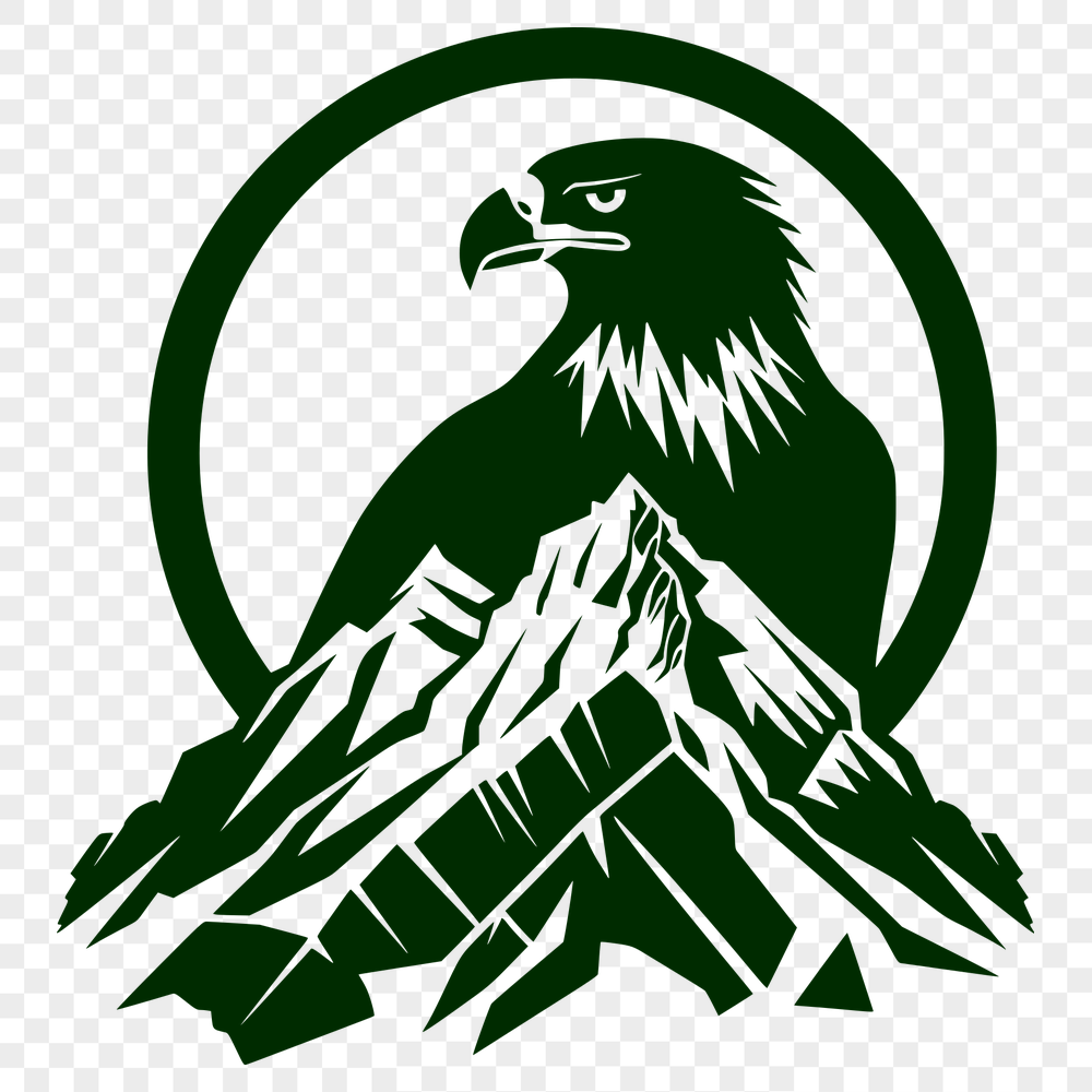 Beautiful Eagle Vector Art