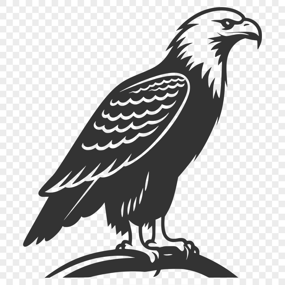 Free Creative Eagle Vector Image