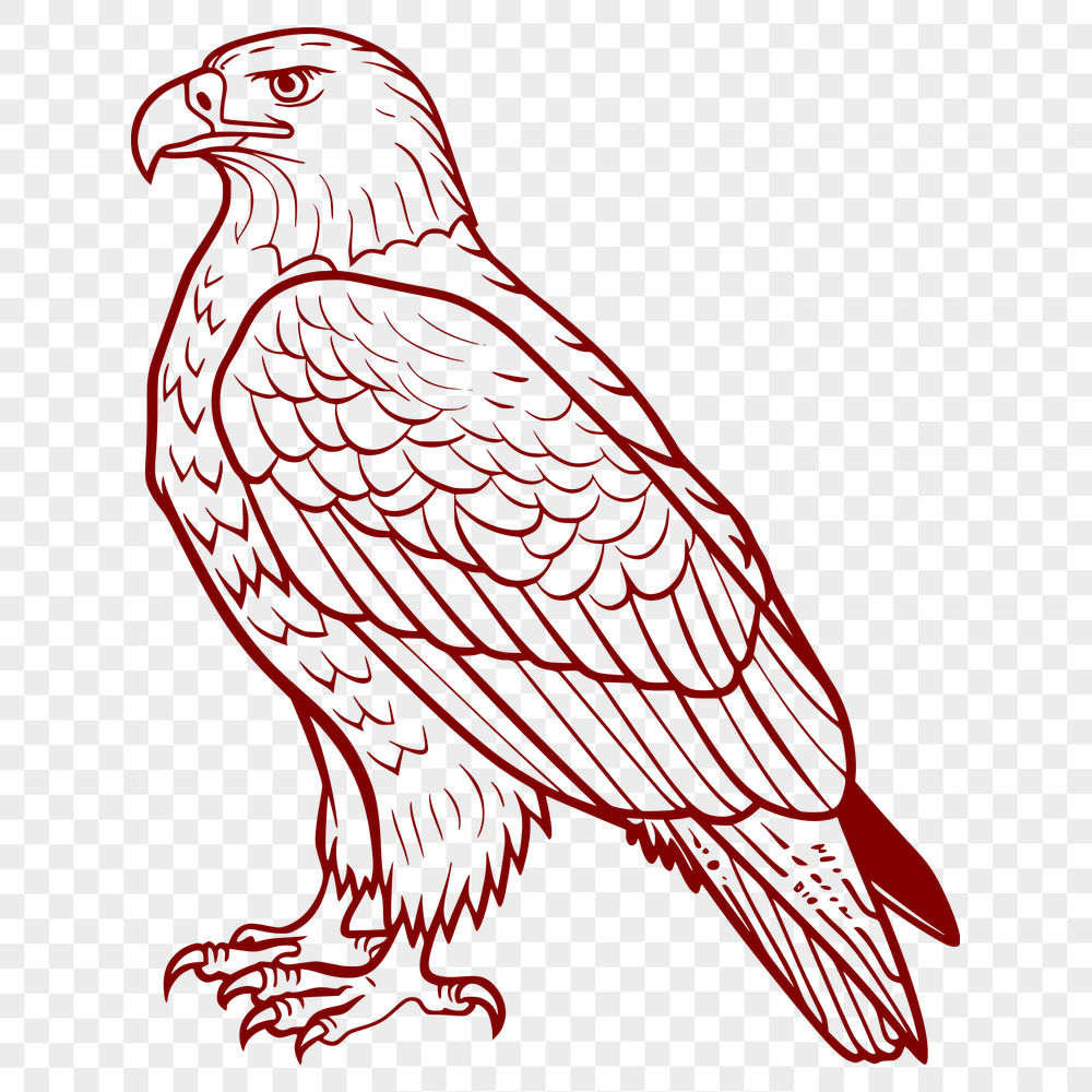 Perched Eagle Vector Image