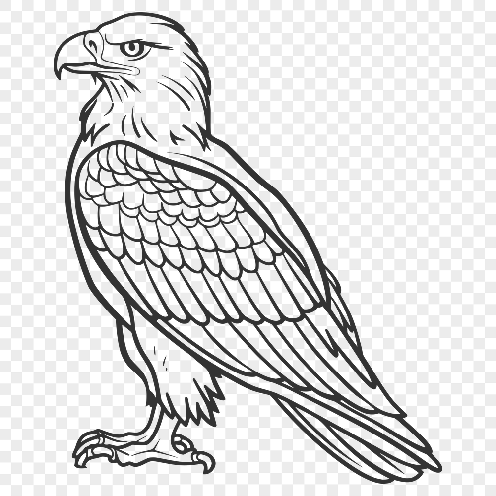 Beautiful Eagle SVG, PNG, PDF And DXF Files